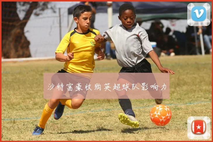 沙特富豪收购英超球队影响力
