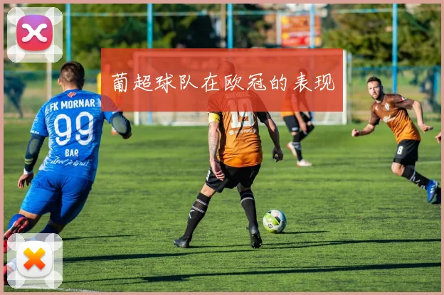 葡超球队在欧冠的表现